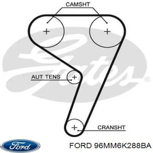 Comprar 96MM6K288BA Ford Correa distribución