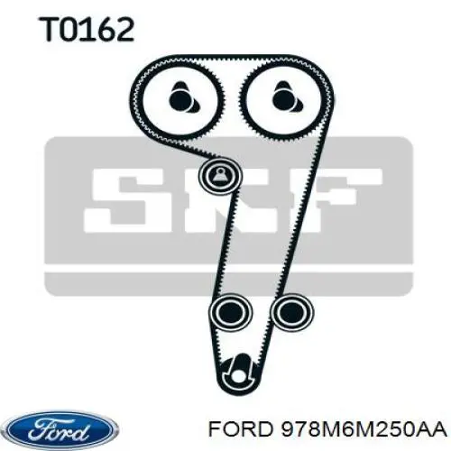 978M6M250AA Ford rodillo intermedio de correa dentada