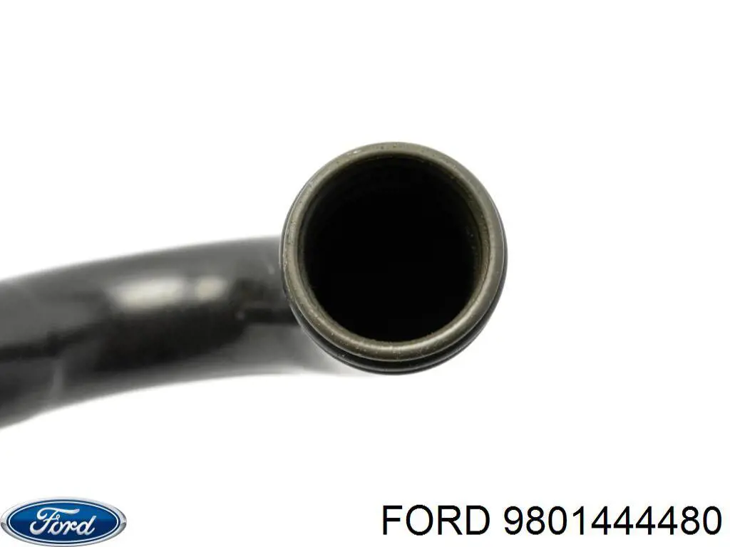 9801444480 Ford