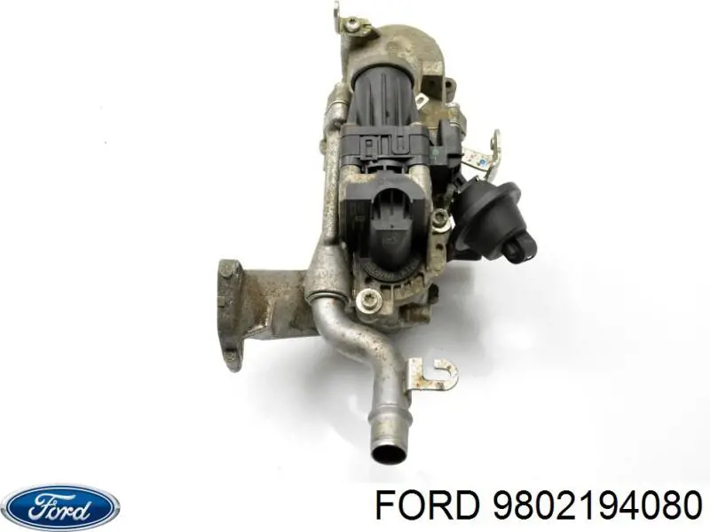 Enfriador de recirculación de gases de escape EGR Peugeot/Citroen 9802981580 precio, desde 71,15 EUR