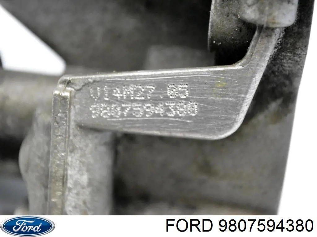Caja, filtro de aceite para Ford C-Max (CB7)