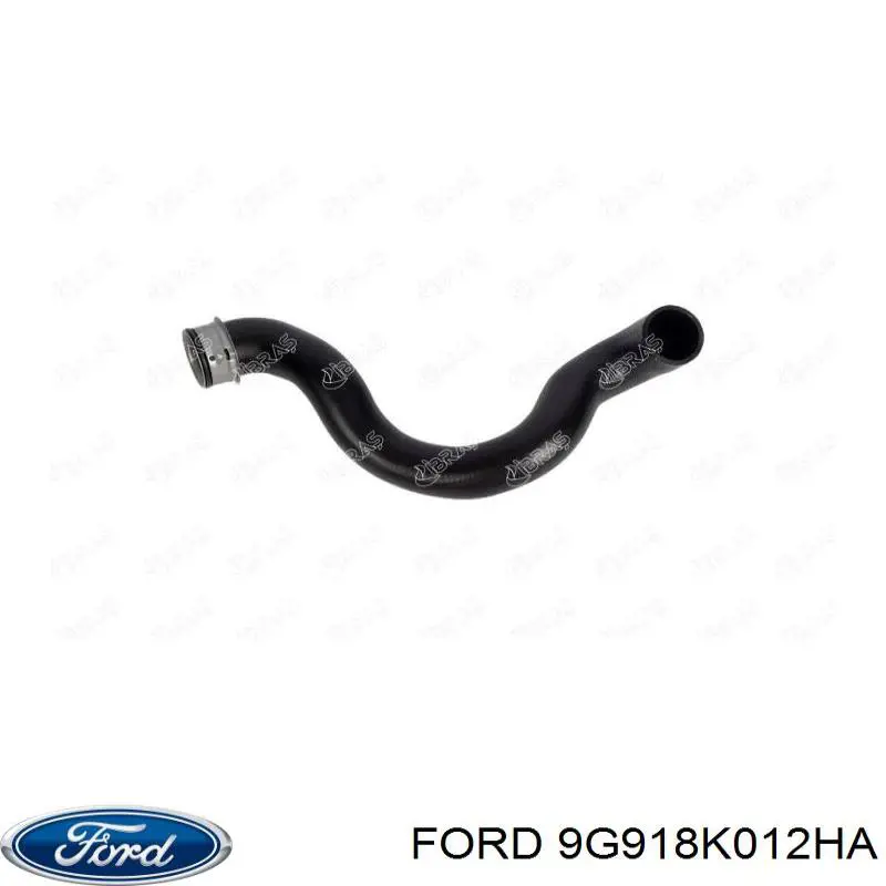 9G918K012-HA Ford tubería de radiador, tuberia flexible calefacción, superior