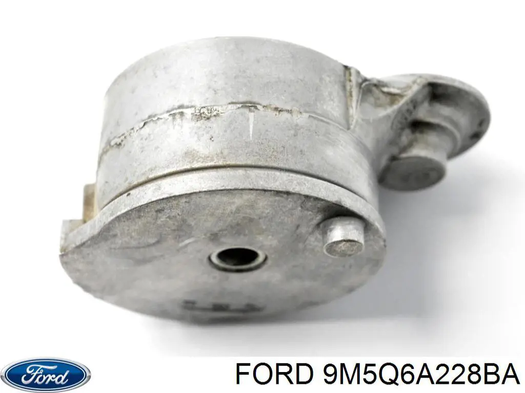 Tensor de la correa trapecial Ford 9M5Q6A228BA precio, desde 28,84 EUR