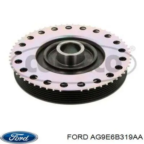 AG9E6B319AA Ford