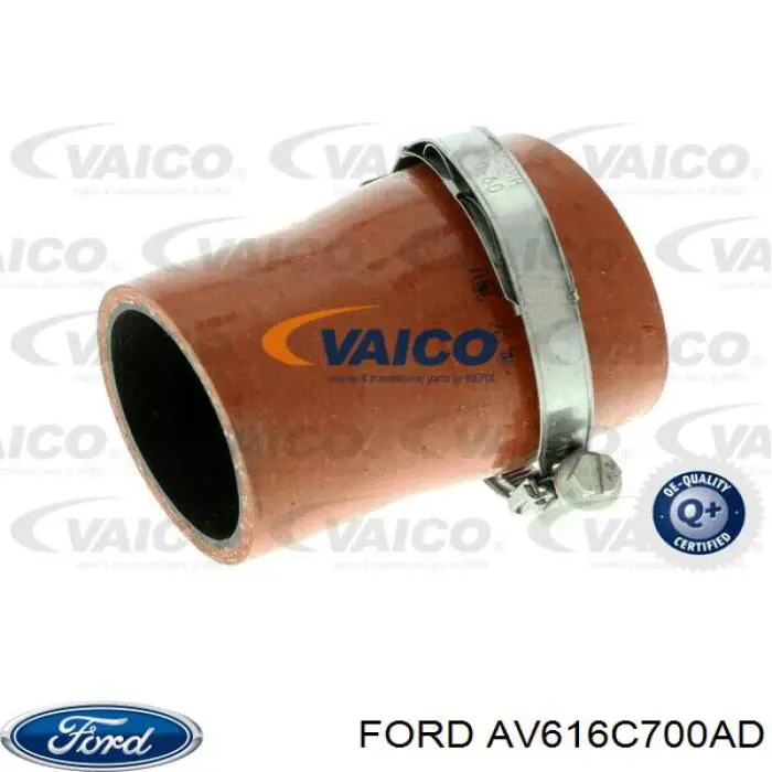 AV616C700AD Ford tubo flexible de aire de sobrealimentación, de turbina