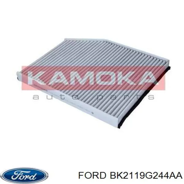 BK21-19G244-AA Ford filtro de habitáculo