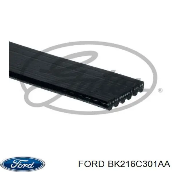 BK216C301AA Ford correa trapezoidal