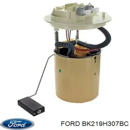 BK219H307BC Ford