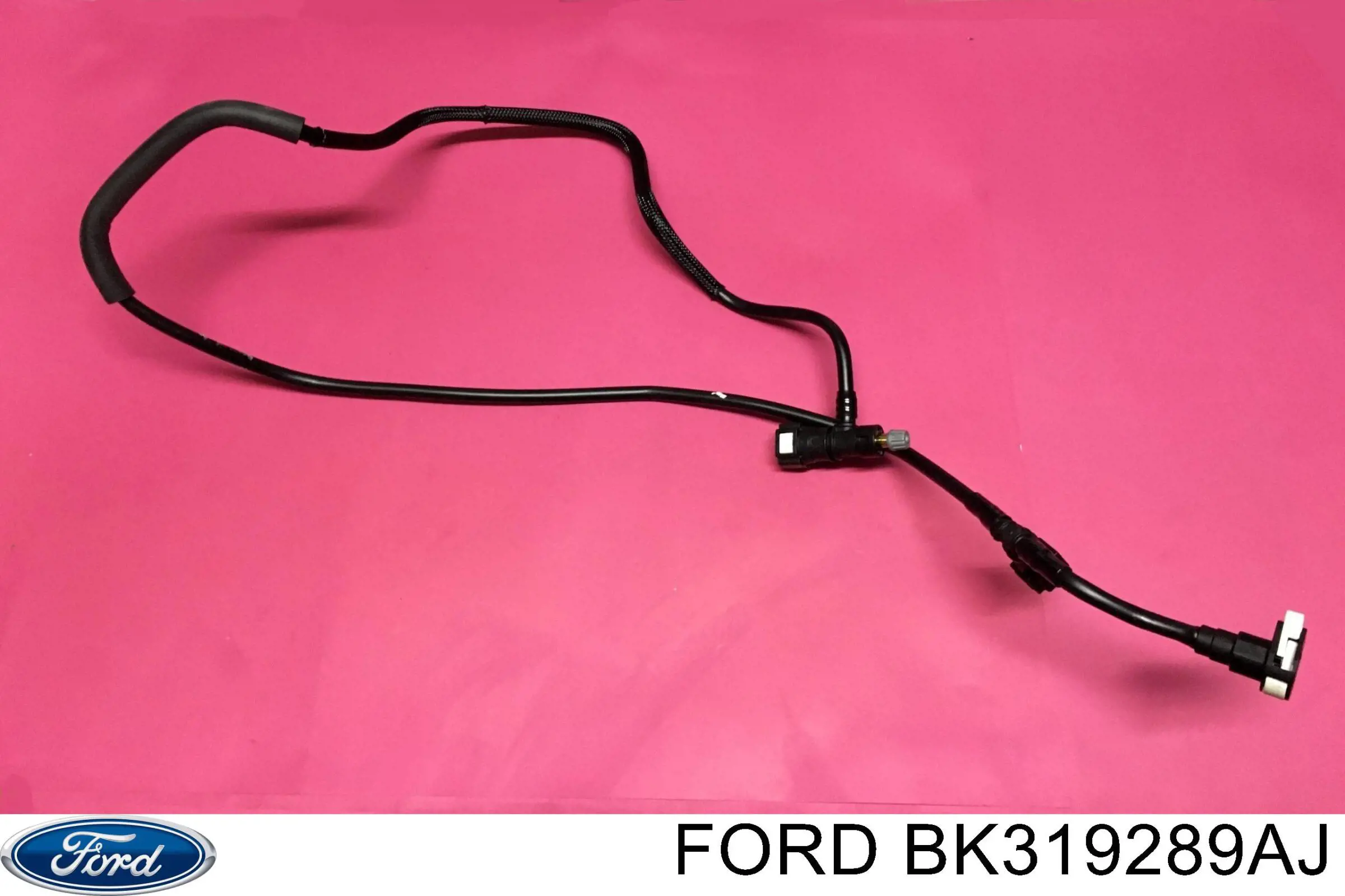 BK319289AJ Ford