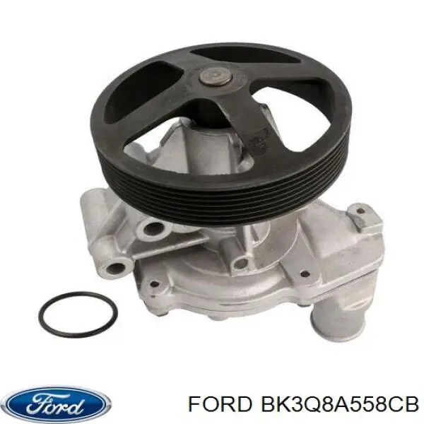Bombeadora de agua Ford BK3Q8A558CB precio, desde 95,65 EUR