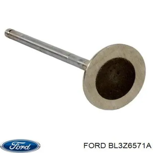 Empaquetadura De Aceite De Valvula para Ford Explorer (U5)