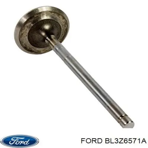 Comprar BL3Z6571A Ford Sello De Aceite De Valvula (Rascador De Aceite) Entrada/Salida