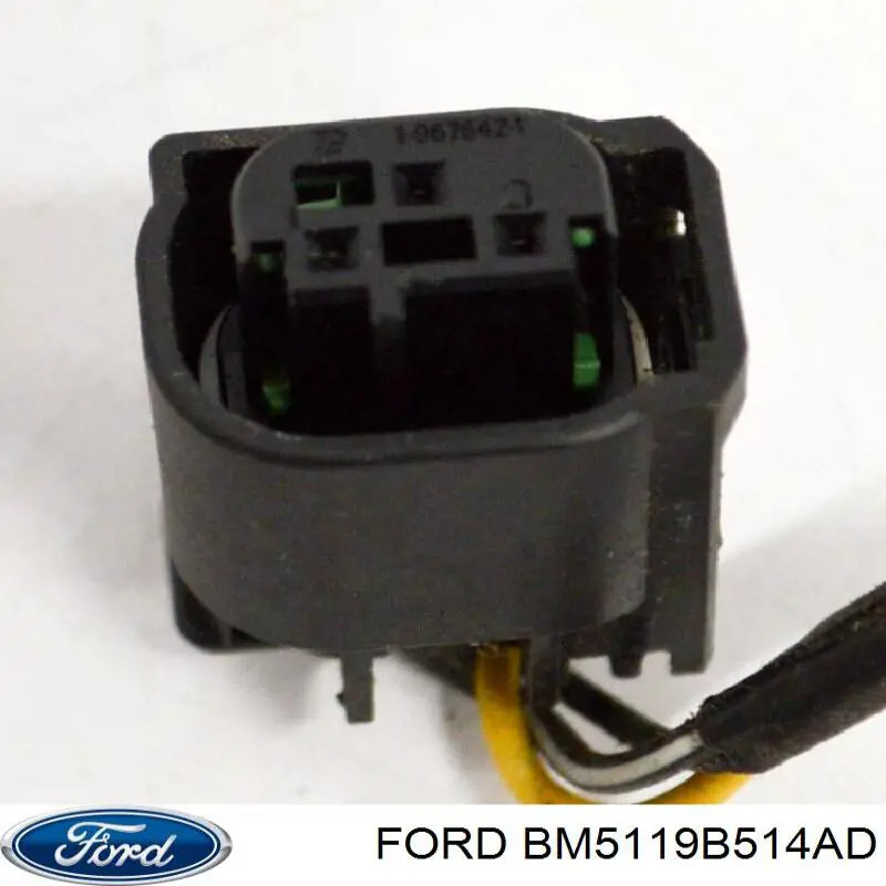 Botón de accionamiento del cierre de la tapa del maletero (puerta trasera 3/5) Ford 1704987