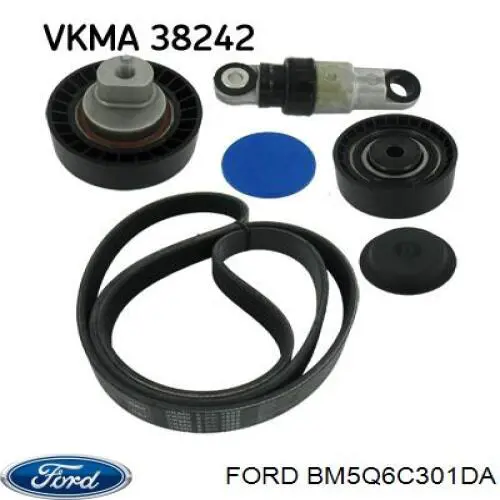Comprar BM5Q6C301DA Ford Correa trapezoidal