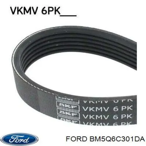 BM5Q6C301DA Ford Correa poly v