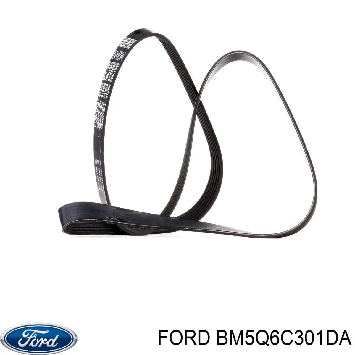 Correa de transmisión trapezoidal Ford BM5Q6C301DA precio, desde 13,52 EUR
