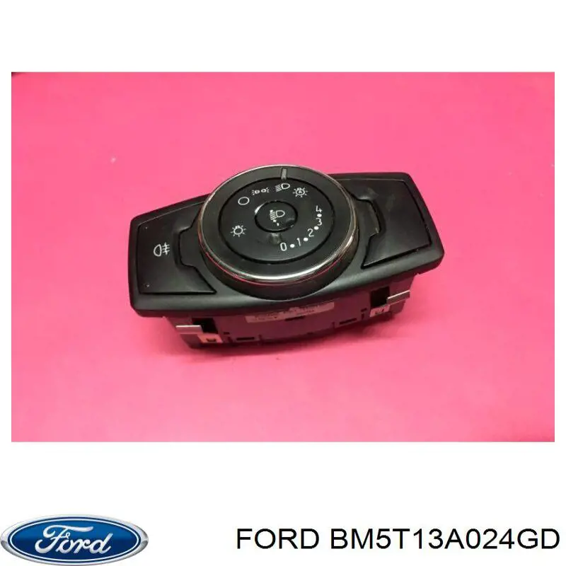 BM5T13A024GD Ford