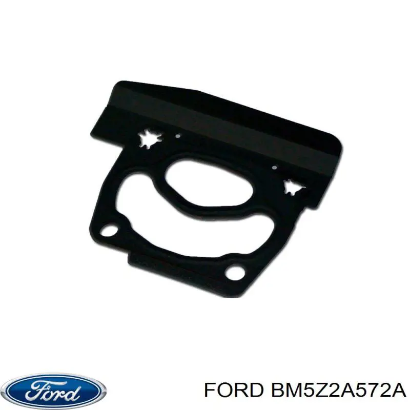 Comprar BM5Z2A572A Ford Junta de la bomba de vacío