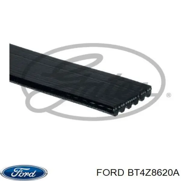 Correa de transmisión trapezoidal Ford BT4Z8620A precio, desde 11,72 EUR