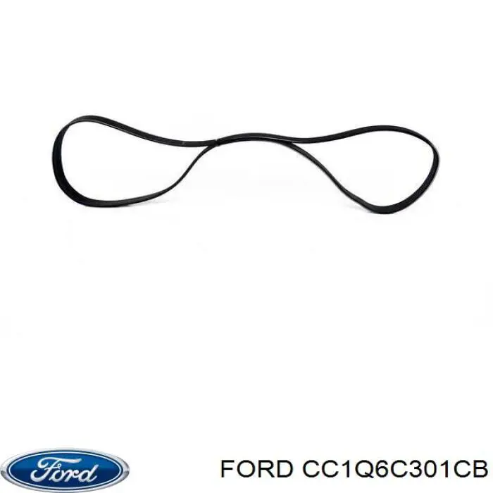 Correa de alternador CC1Q6C301CB Ford