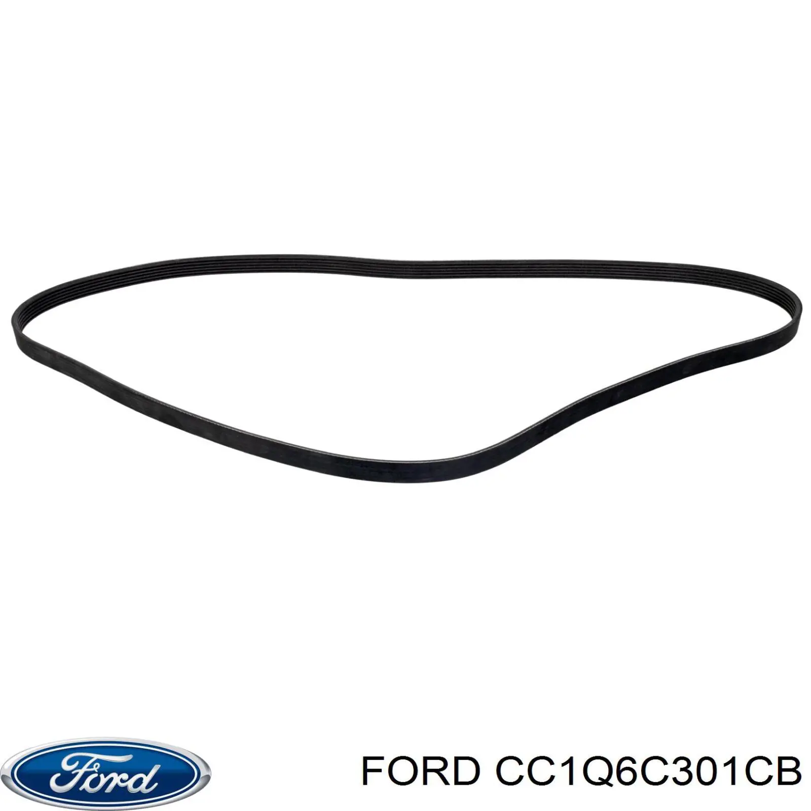 CC1Q6C301CB Ford correa trapezoidal