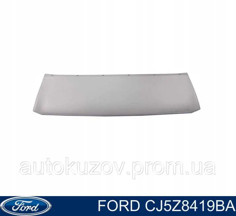 Moldura inferior de la rejilla del parachoques delantero Ford CJ5Z8419BA precio, desde 33,82 EUR