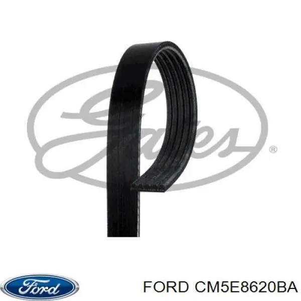 Correa de transmisión trapezoidal Ford CM5E8620BA precio, desde 10,71 EUR
