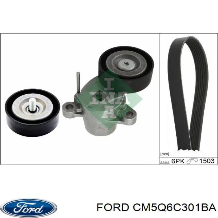 CM5Q6C301BA Ford correa trapezoidal