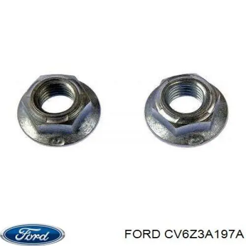 Soporte amortiguador delantero para Ford C-MAX (DXA)