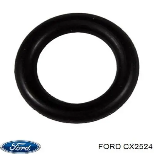 Filtro EVAP Ford CX2524 precio, desde 808,91 EUR