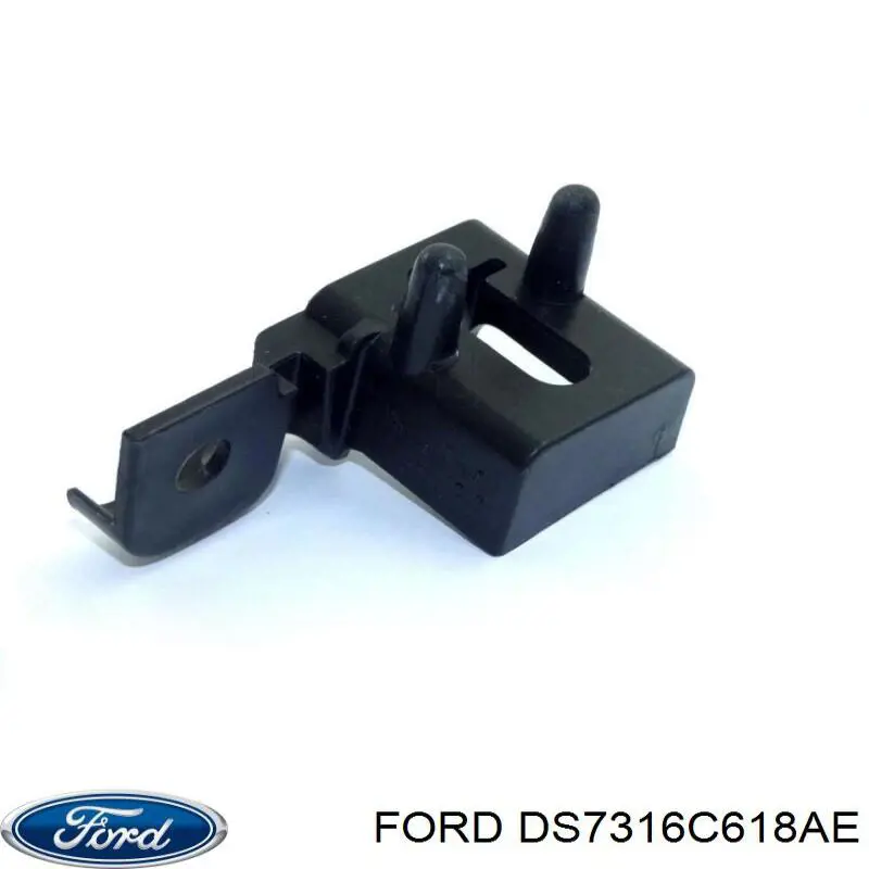 DS7316C618AE Ford Tope del capó