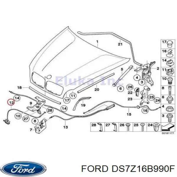 DS7Z16B990F Ford sello del capo