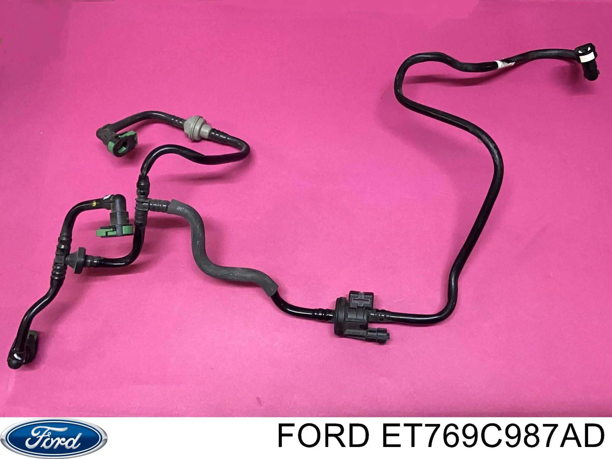 Valvula de purga del canister para Ford Fiesta Mk6 CB1