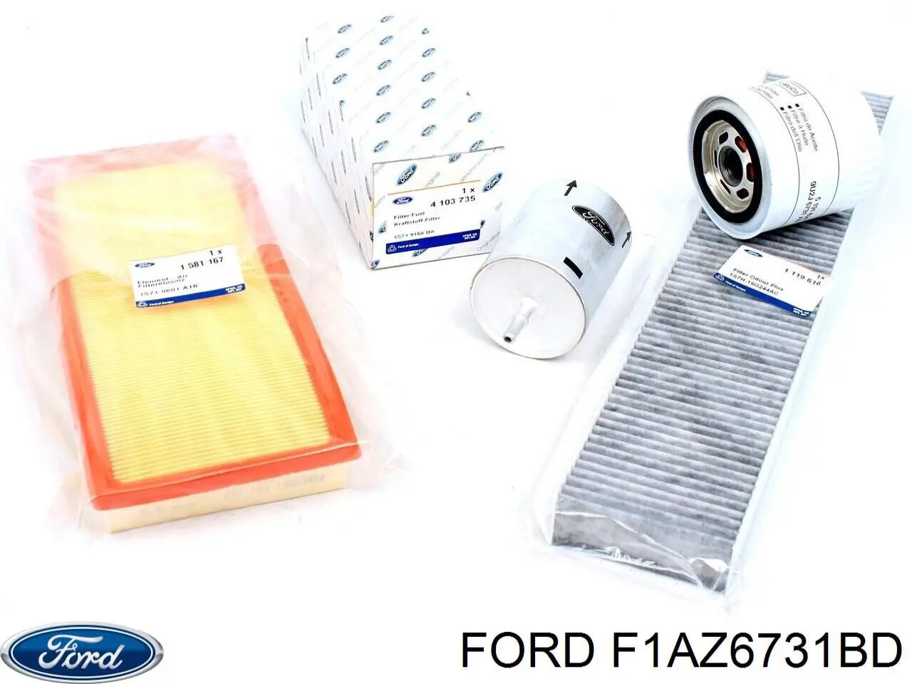 Filtro de aceite motor Ford F1AZ6731BD