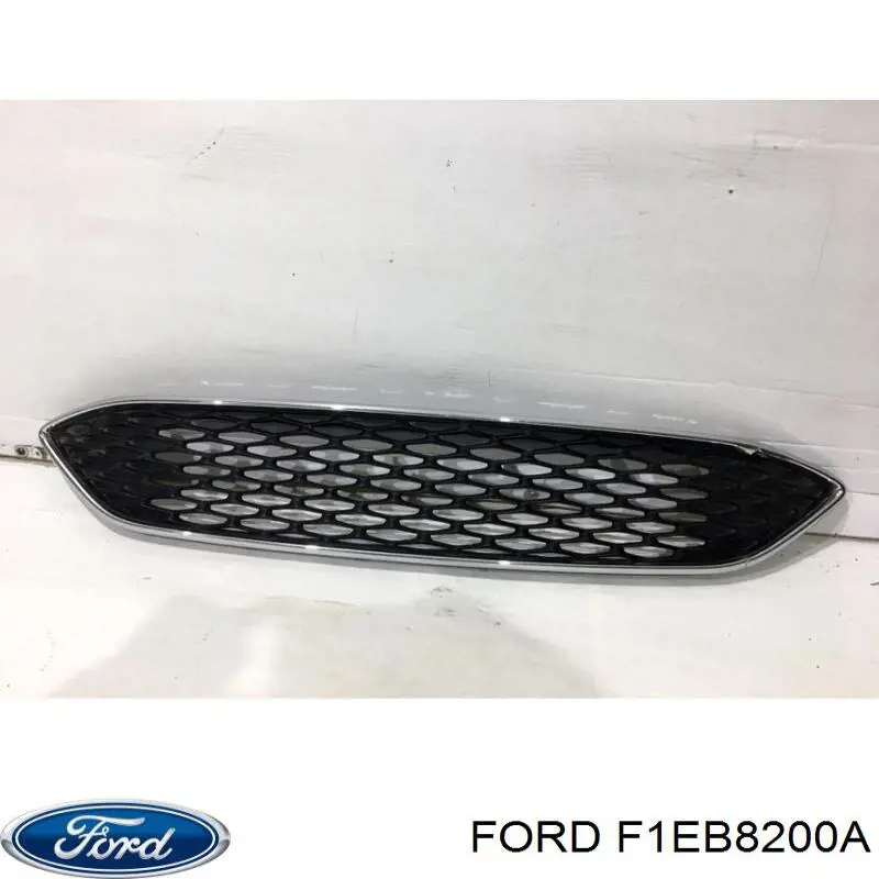 F1EB8200A Ford Calandra