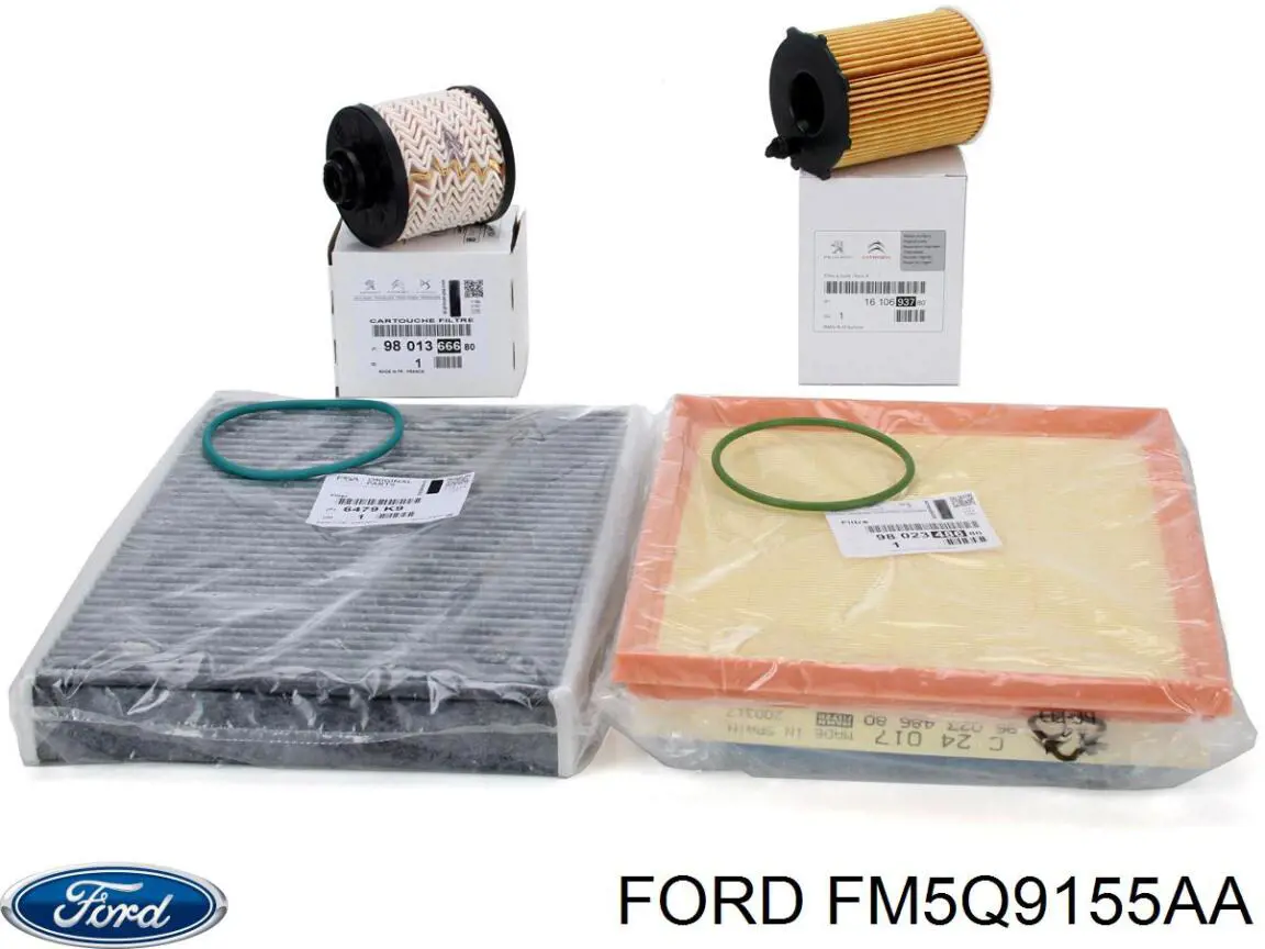 Caja filtros de combustible Ford FM5Q9155AA