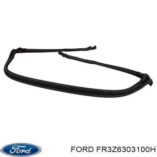 FR3Z6303100H Ford