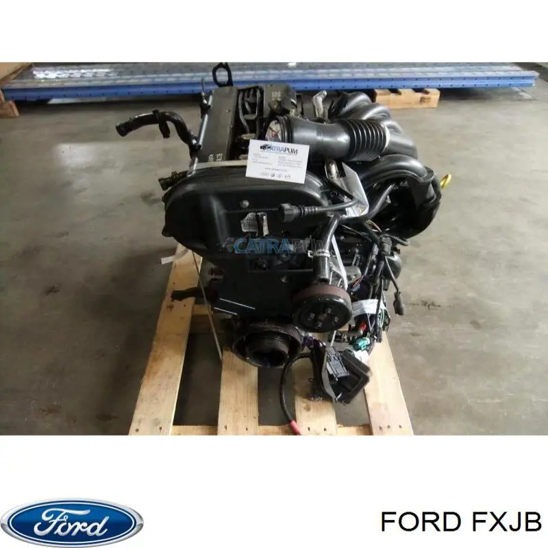 FXJB Ford Motor completo