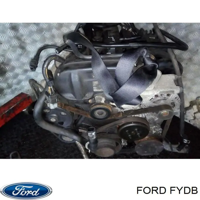 FYDB Ford Motor completo