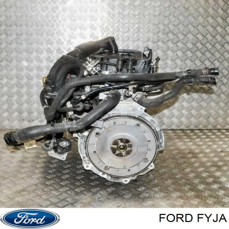 FYJA Ford motor completo