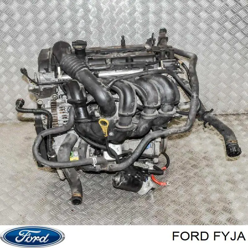 FYJA Ford Motor completo