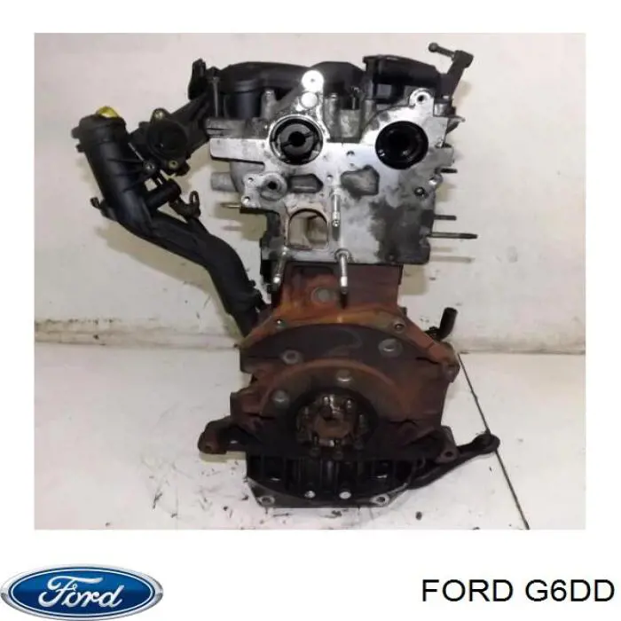 G6DD Ford Motor completo