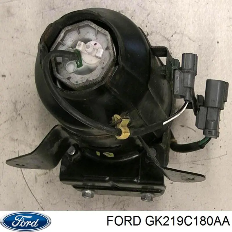 2005767 Ford Caja del filtro de combustible