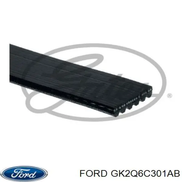 GK2Q6C301AB Ford Correa poly v