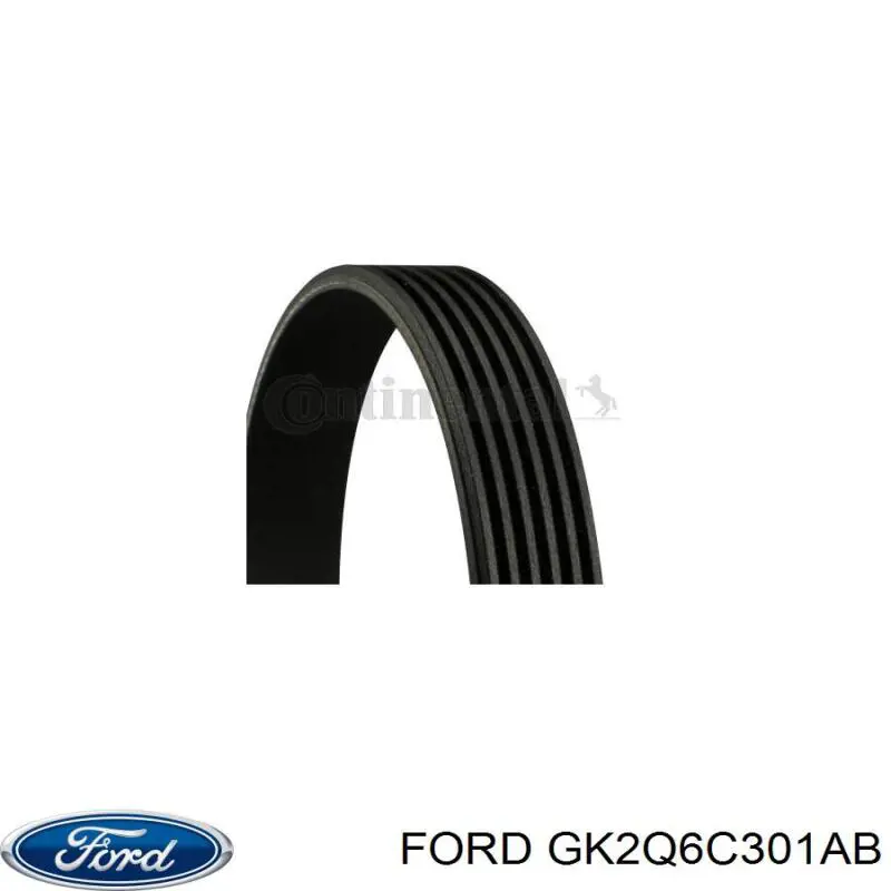 Correa de alternador GK2Q6C301AB Ford