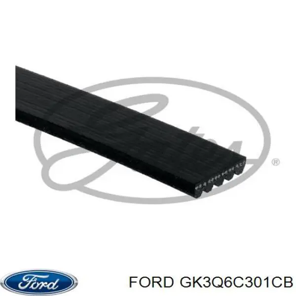 Correa de transmisión trapezoidal Ford GK3Q6C301CB precio, desde 7,86 EUR