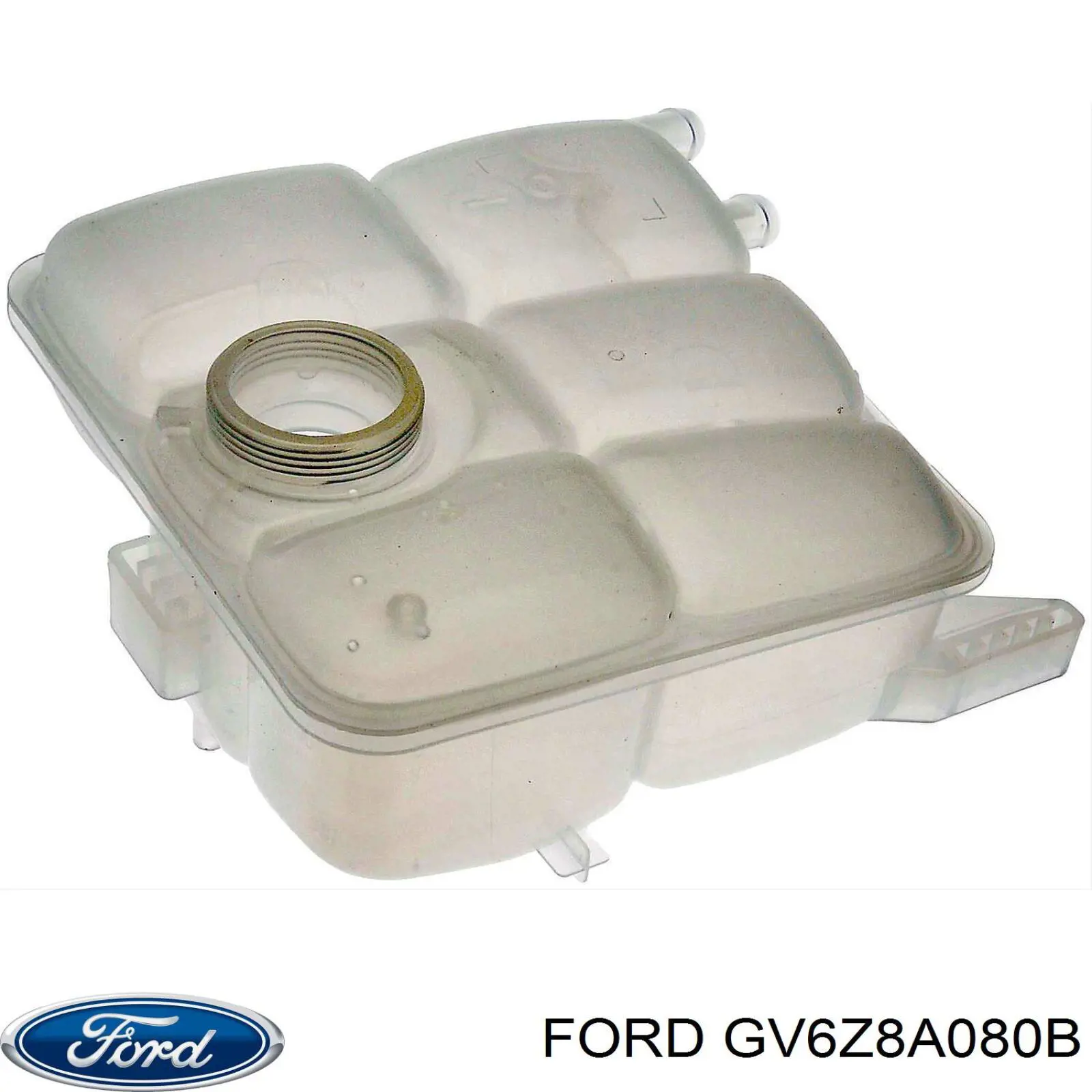 GV6Z8A080B Ford vaso de expansión