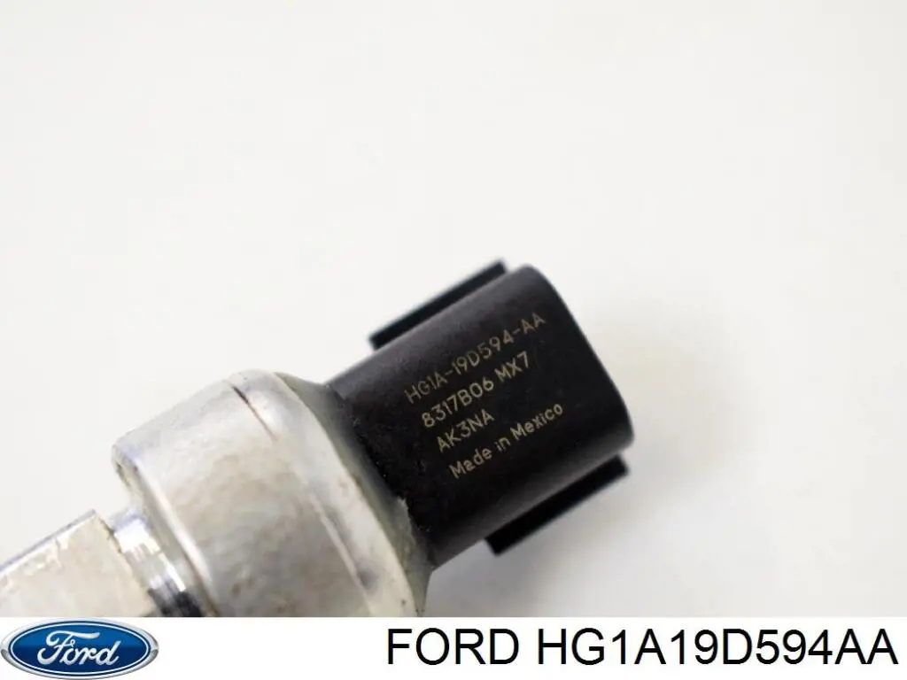 HG1A19D594AA Ford