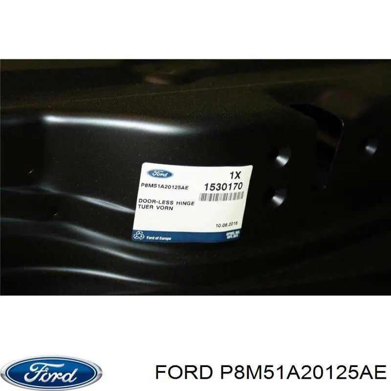 P8M51A20125AE Ford Puerta delantera