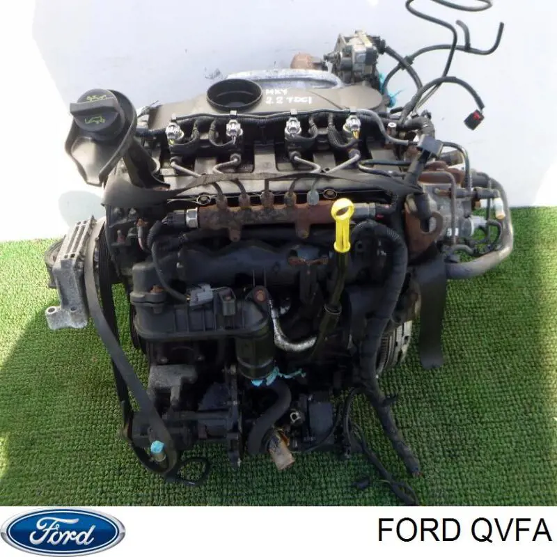 QVFA Ford motor completo